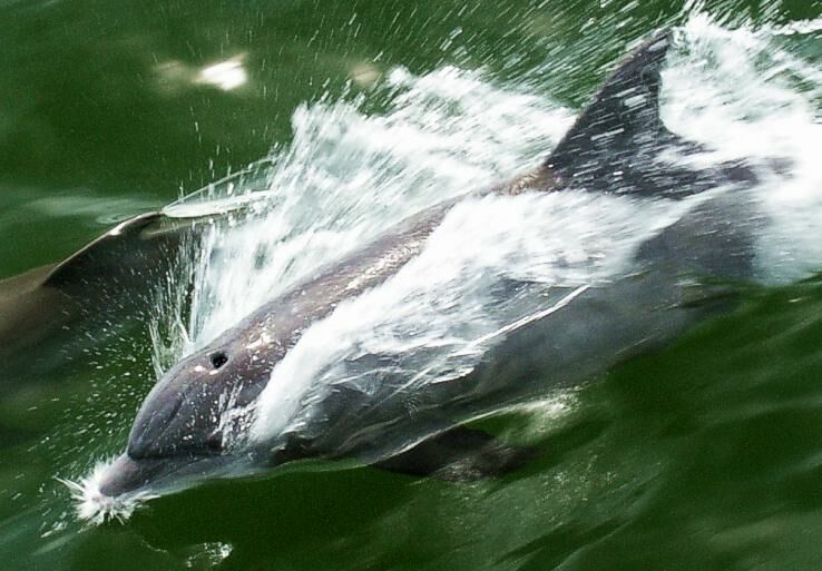 Click to See Next Image